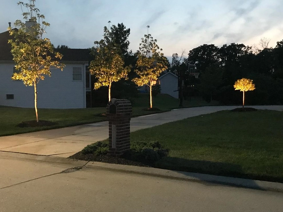 Nightscapes Outdoor Lighting - Photo 3