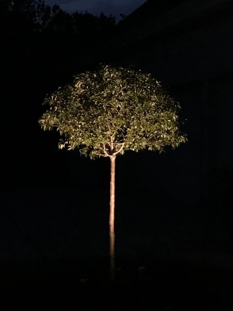 Past Projects by Nightscapes Outdoor Lighting - Photo 11