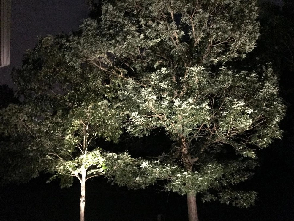 Past Projects by Nightscapes Outdoor Lighting - Photo 12
