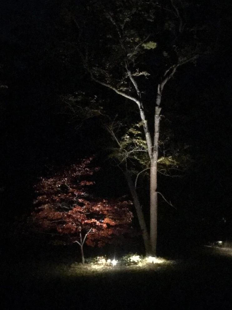 Past Projects by Nightscapes Outdoor Lighting - Photo 9