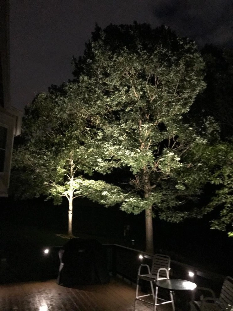 Past Projects by Nightscapes Outdoor Lighting - Photo 4