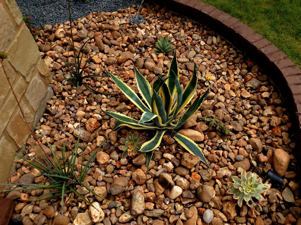 Our Work by Noble Lawn & Landscaping - Photo 62