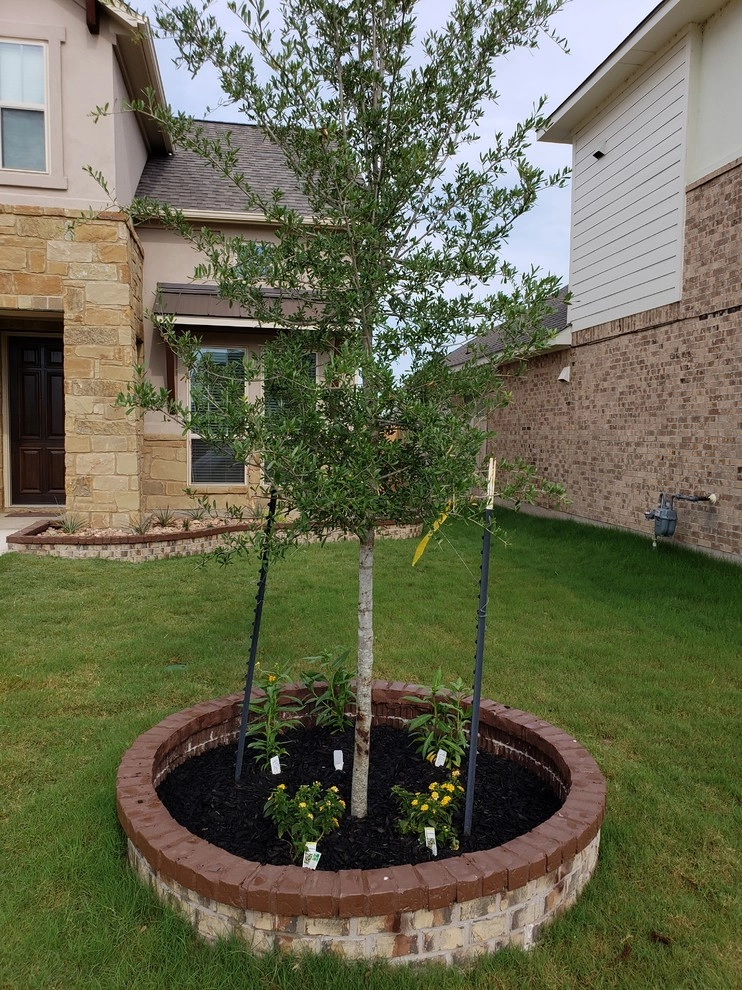 Pflugerville by Noble Lawn & Landscaping - Photo 16