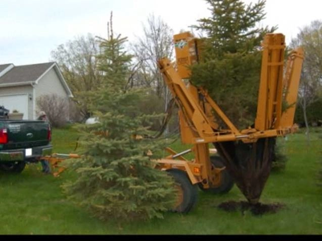 Past Projects by Norling's Lake Minnetonka Landscapes, Inc. - Photo 17