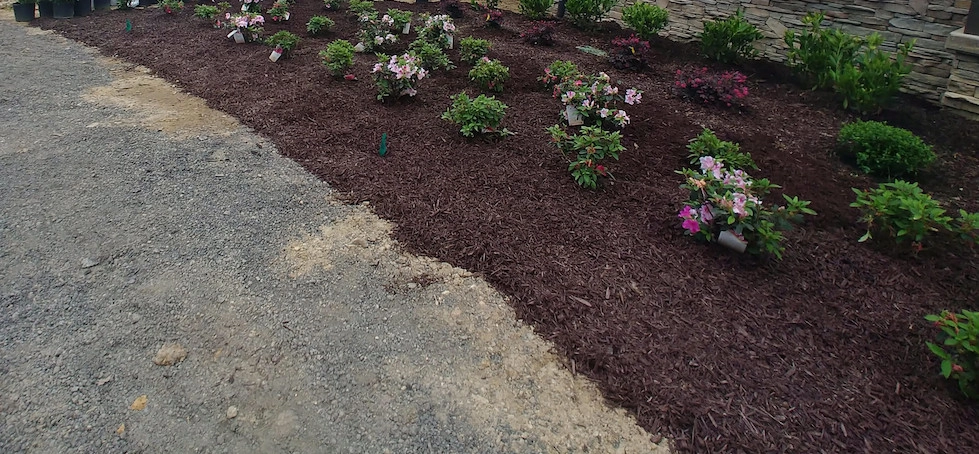 Landscaping by North Georgia Outdoor Services, LLC - Photo 2