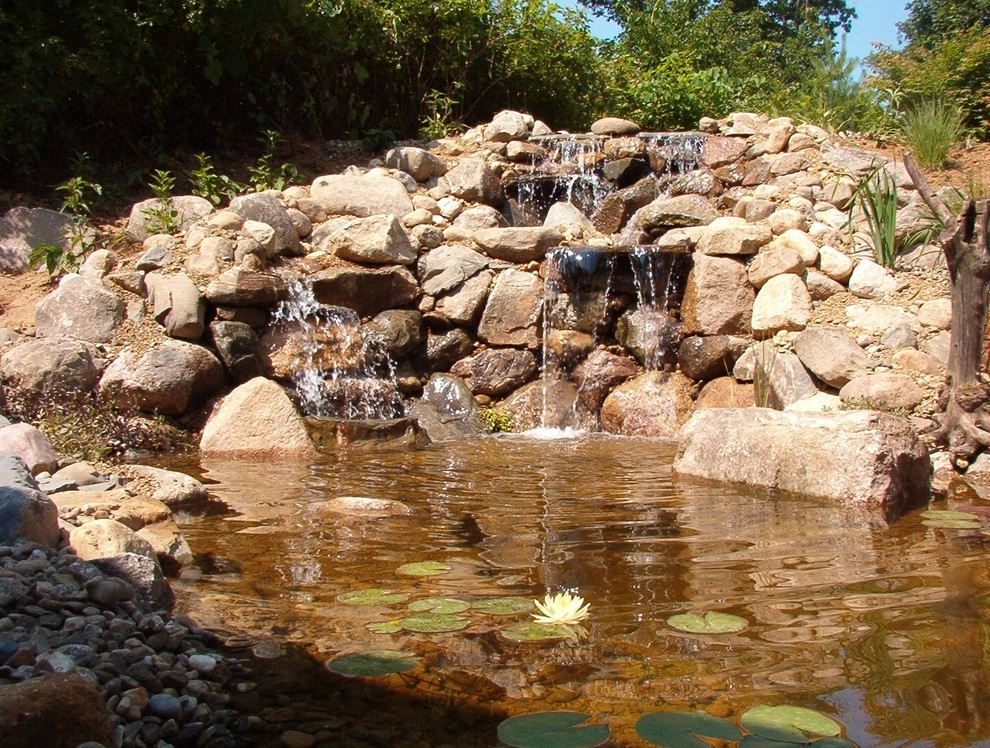 North Star Landscape Design & Installation - Photo 14