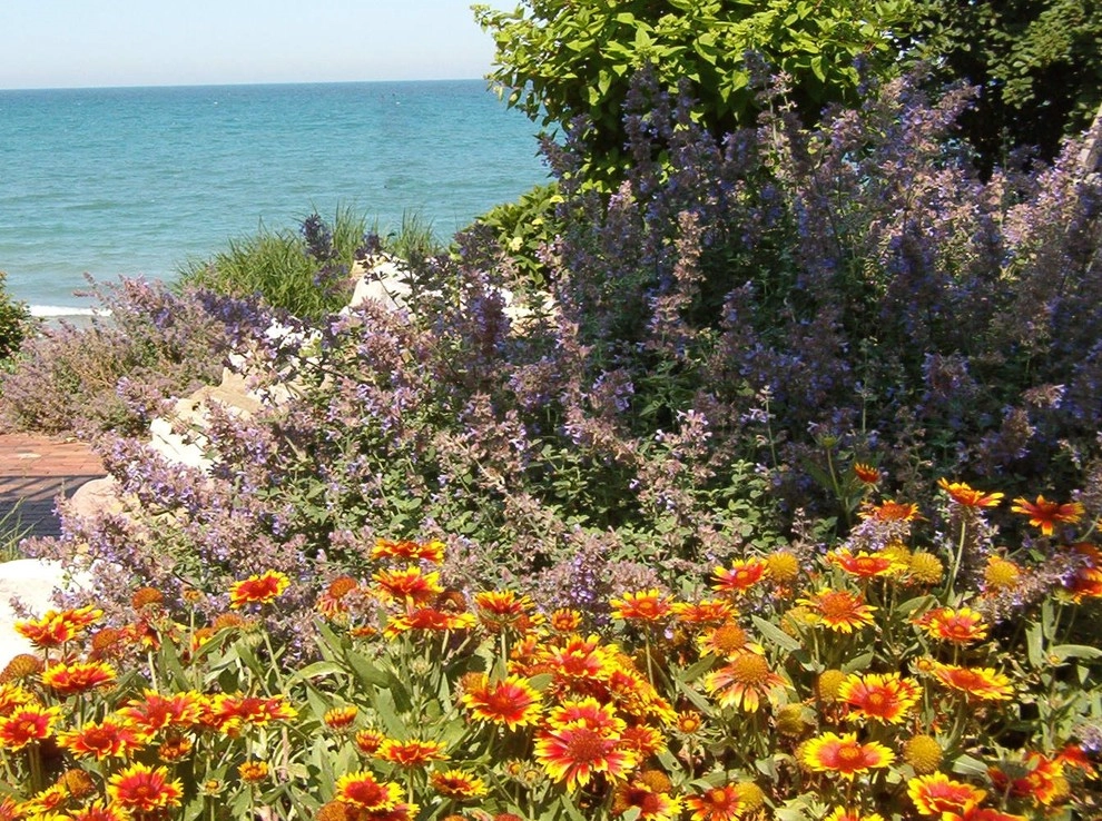 Landscapes by North Star Landscape Design & Installation - Photo 2