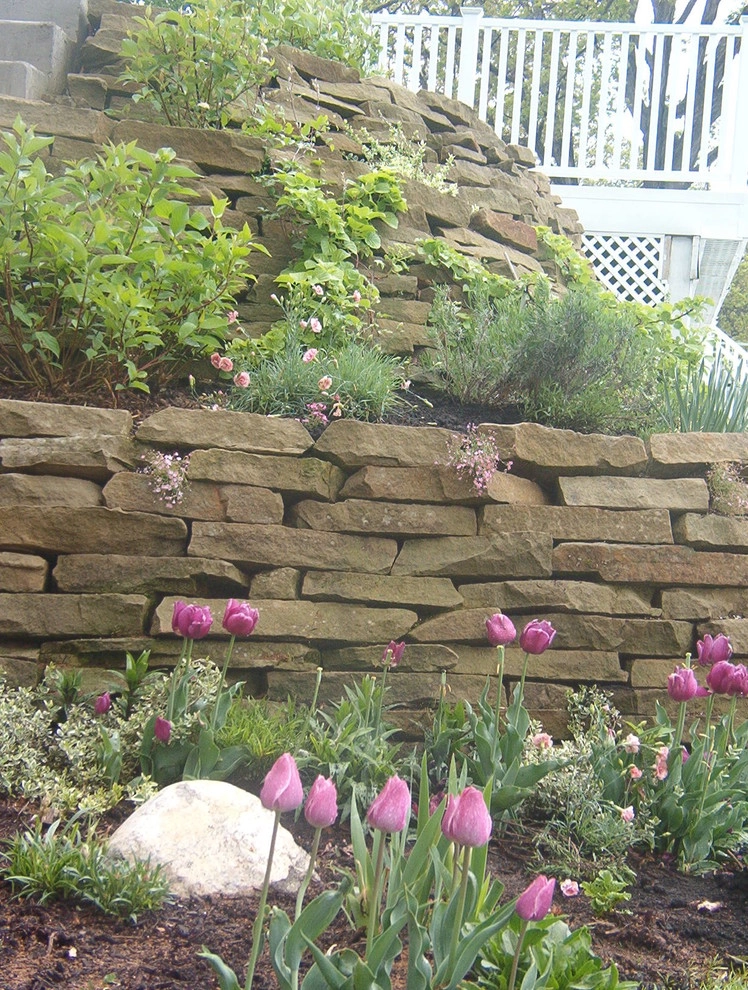 North Star Landscape Design & Installation - Photo 10