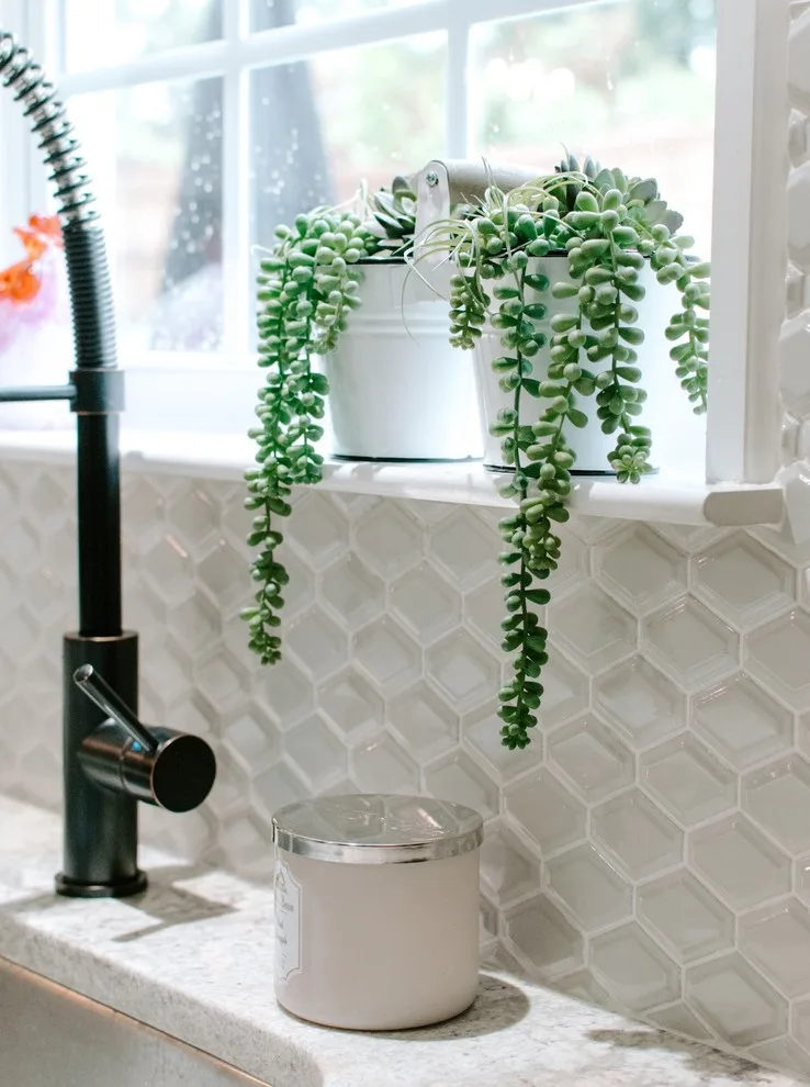 Morning Creek - Culinary Renovation by Fig Leaf And Co - Photo 9