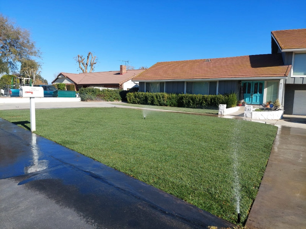 Luis Tree Service & Landscaping - Photo 7