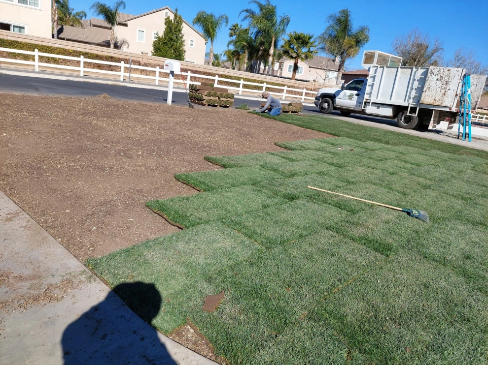 Luis Tree Service & Landscaping - Photo 5
