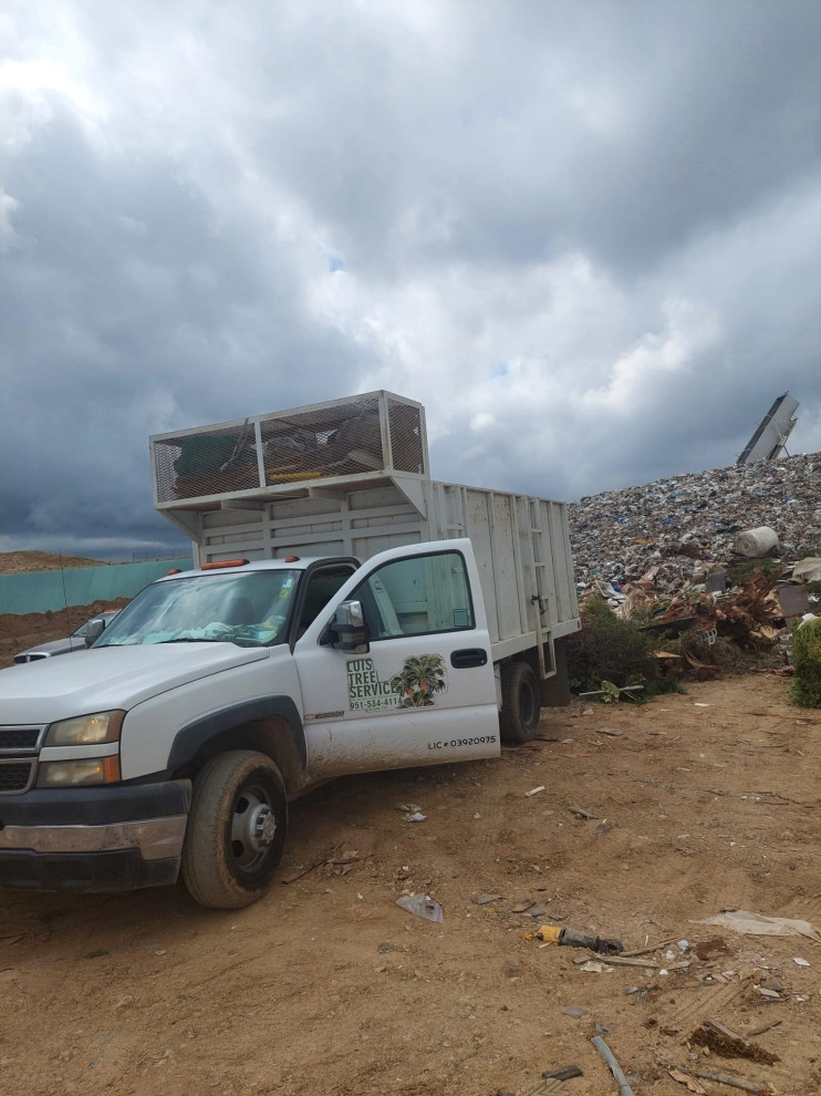 Luis Tree Service & Landscaping - Photo 6