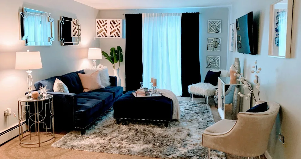 NAPERVILLE LIVING ROOM DECORATING by Alluring Designs Chicago - Photo 3