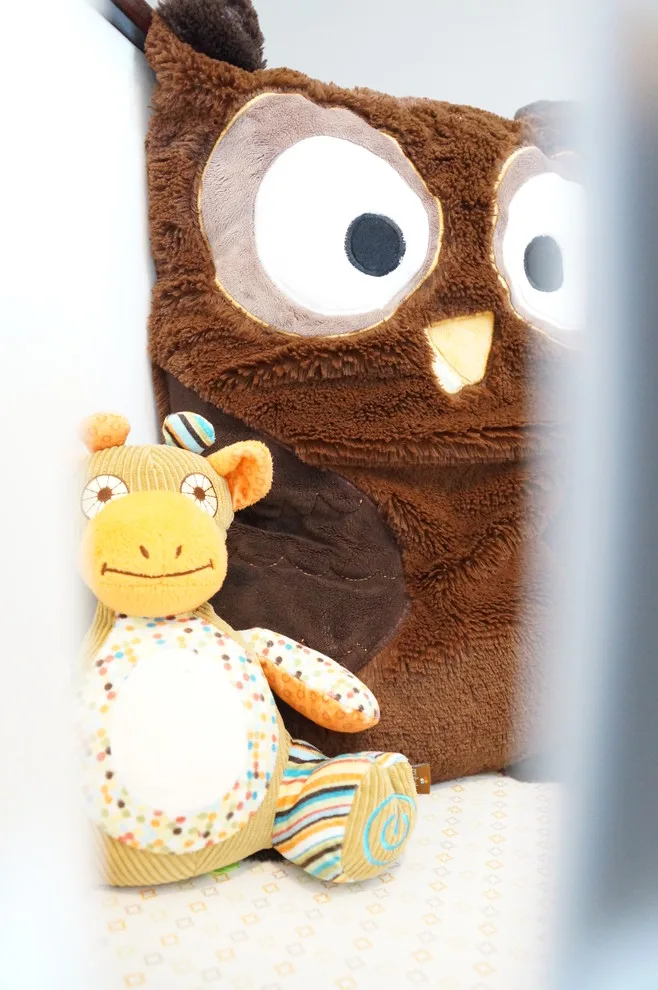 Nature-Inspired Childcare by Design Style'd - Photo 6