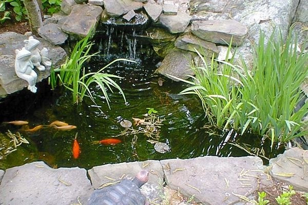 Waterfalls and Ponds by Notchwood Landscape - Photo 3