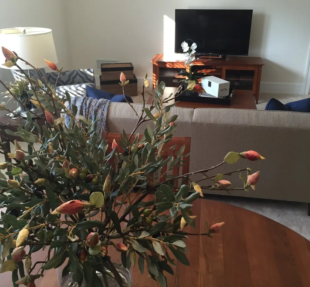 Newtown Square Home by Kelly Simkovich At Main Line Sound & Video - Photo 3