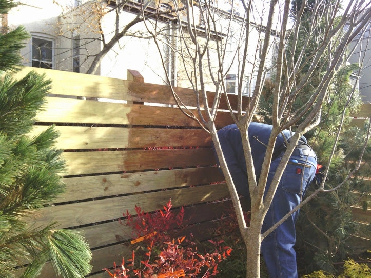 Town House Landscape Design and Renovation by NY Plantings Irrigation And Landscape Lighting - Photo 17
