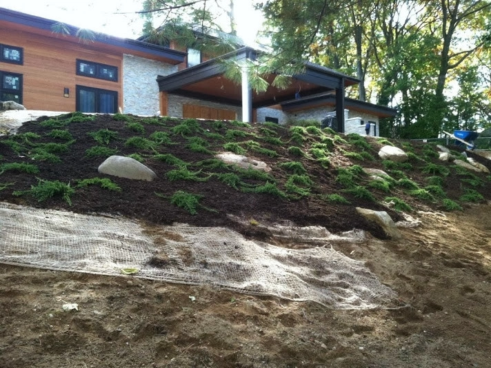 Planting on hills to control erosion by NY Plantings Irrigation And Landscape Lighting - Photo 6