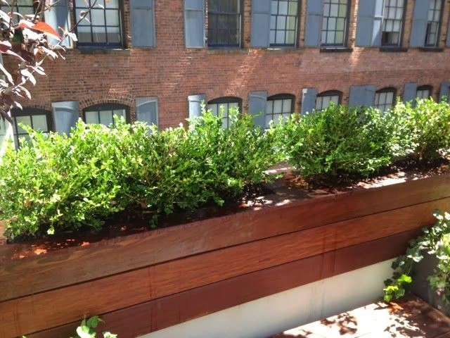 Rooftop garden designers NY by NY Plantings Irrigation And Landscape Lighting - Photo 11