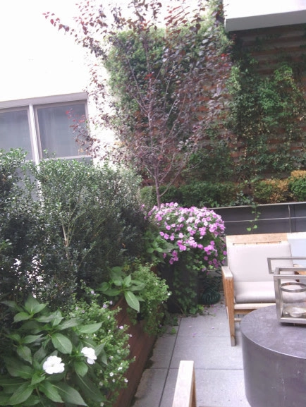 Rooftop garden designers NY by NY Plantings Irrigation And Landscape Lighting - Photo 5