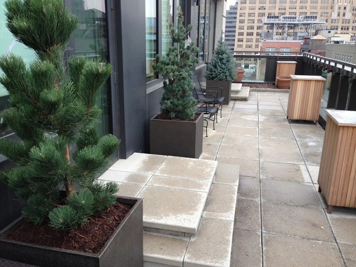 Best Patio Designer NYC - NYPLANTINGS by NY Plantings Irrigation And Landscape Lighting - Photo 15