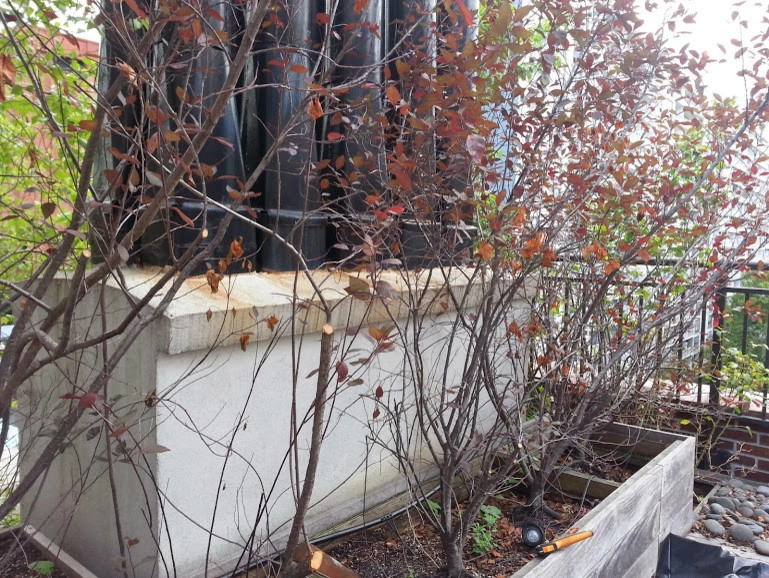Manhattan Rooftop garden planting by NY Plantings Irrigation And Landscape Lighting - Photo 2