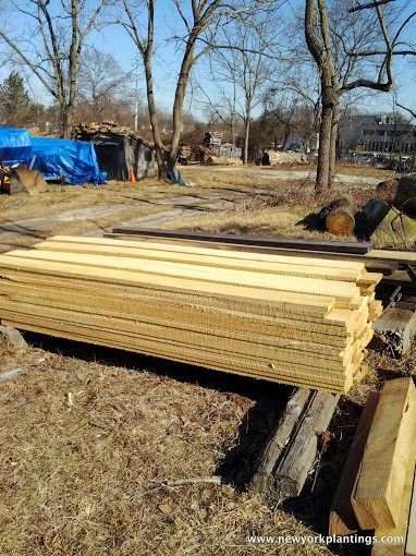 NY Plantings Irrigation And Landscape Lighting - Photo 9