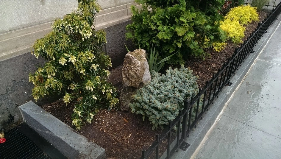 Landscape Designers NY by NY Plantings Irrigation And Landscape Lighting - Photo 17