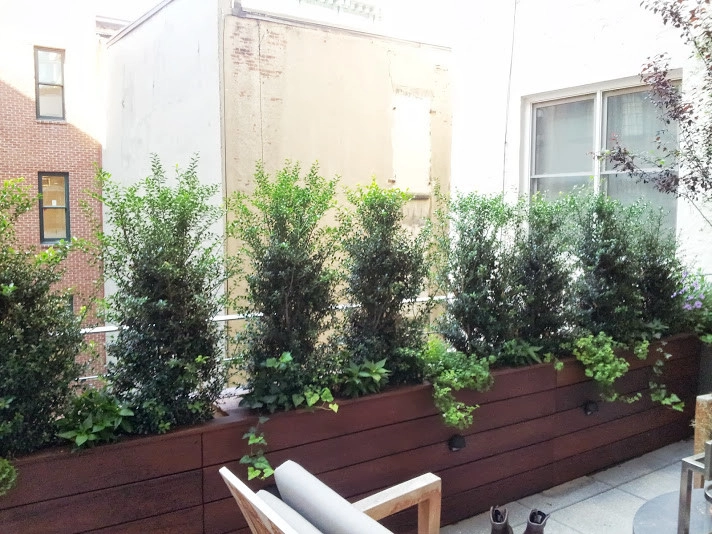 Rooftop garden designers NY by NY Plantings Irrigation And Landscape Lighting - Photo 9