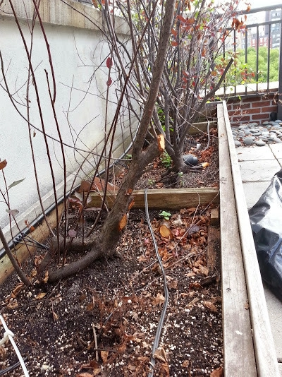 NY Plantings Irrigation And Landscape Lighting - Photo 13