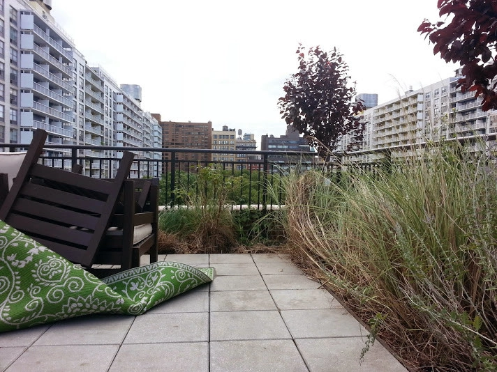 Manhattan Rooftop garden planting by NY Plantings Irrigation And Landscape Lighting - Photo 8