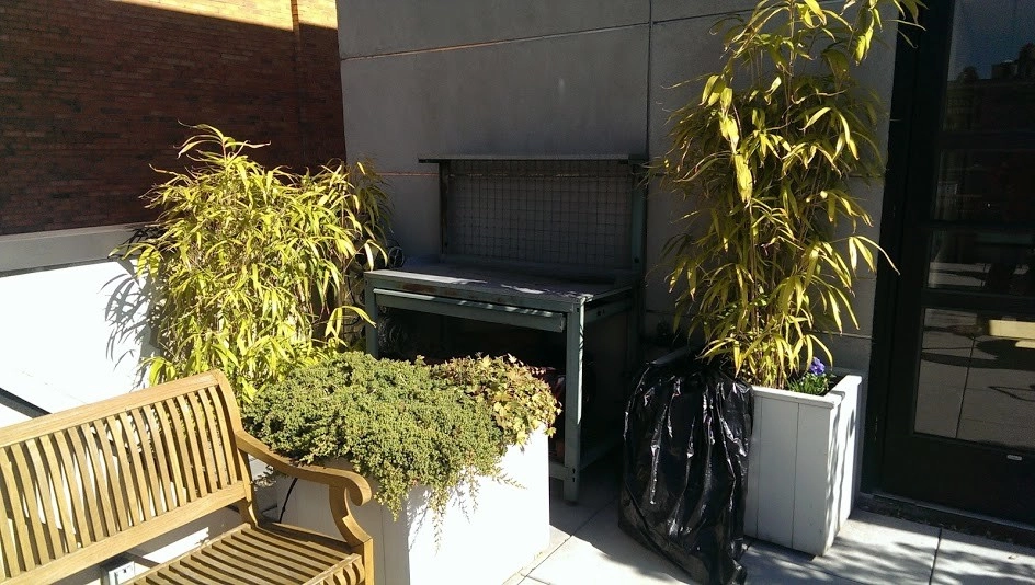 Roof Top Garden Irrigation by NY Plantings Irrigation And Landscape Lighting - Photo 3