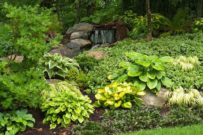 Planting on hills to control erosion by NY Plantings Irrigation And Landscape Lighting - Photo 7