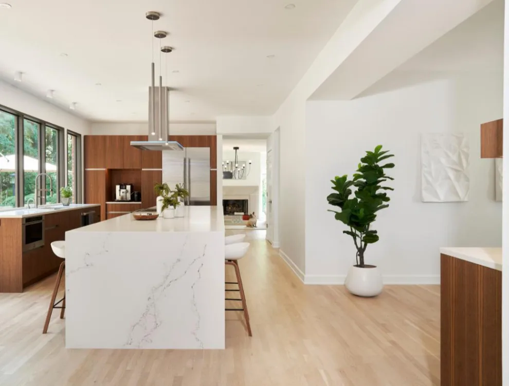 Oak Hill Contemporary Renovation by Marcelle Guilbeau Interior Design - Photo 3