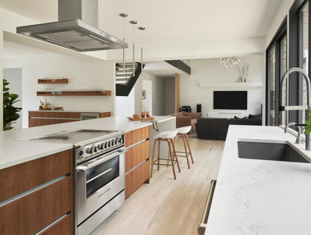Oak Hill Contemporary Renovation by Marcelle Guilbeau Interior Design - Photo 8