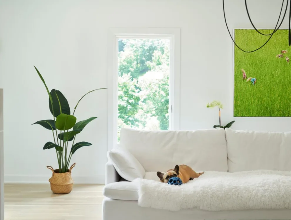 Oak Hill Contemporary Renovation by Marcelle Guilbeau Interior Design - Photo 4