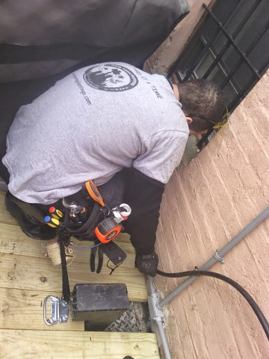 NYC Brooklyn Townhouse Landscape Renovation by NY Plantings Irrigation And Landscape Lighting - Photo 11