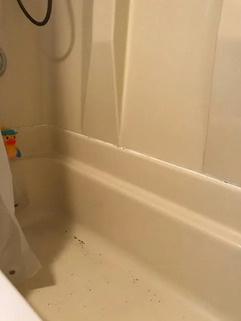 Oak Ridge Basement Bath Renovation by Finishing Touches - Photo 4