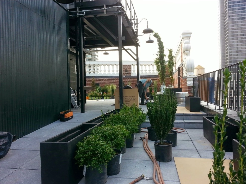 NY Plantings Irrigation And Landscape Lighting - Photo 14