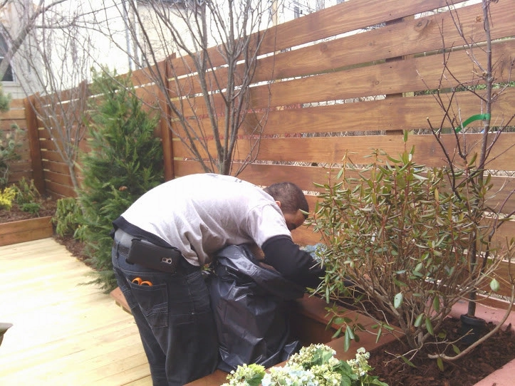 Town House Landscape Design and Renovation by NY Plantings Irrigation And Landscape Lighting - Photo 25