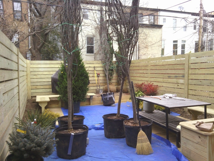 Town House Landscape Design and Renovation by NY Plantings Irrigation And Landscape Lighting - Photo 4