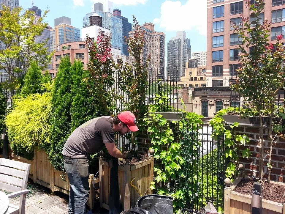 Landscape Designers NY by NY Plantings Irrigation And Landscape Lighting - Photo 19