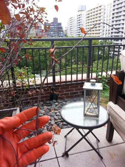Manhattan Rooftop garden planting by NY Plantings Irrigation And Landscape Lighting - Photo 4