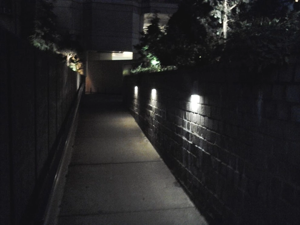 New York Plantings Landscape Lighting by NY Plantings Irrigation And Landscape Lighting - Photo 5