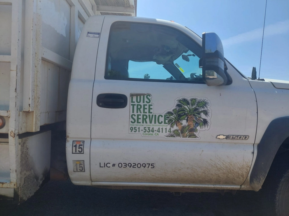 Luis Tree Service & Landscaping - Photo 14