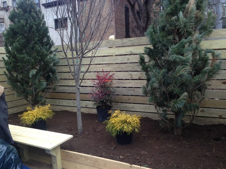Town House Landscape Design and Renovation by NY Plantings Irrigation And Landscape Lighting - Photo 7