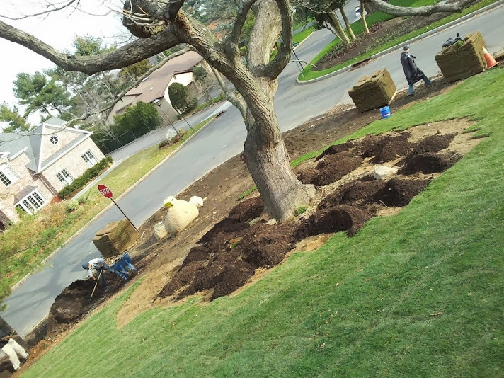 Planting on hills to control erosion by NY Plantings Irrigation And Landscape Lighting - Photo 5