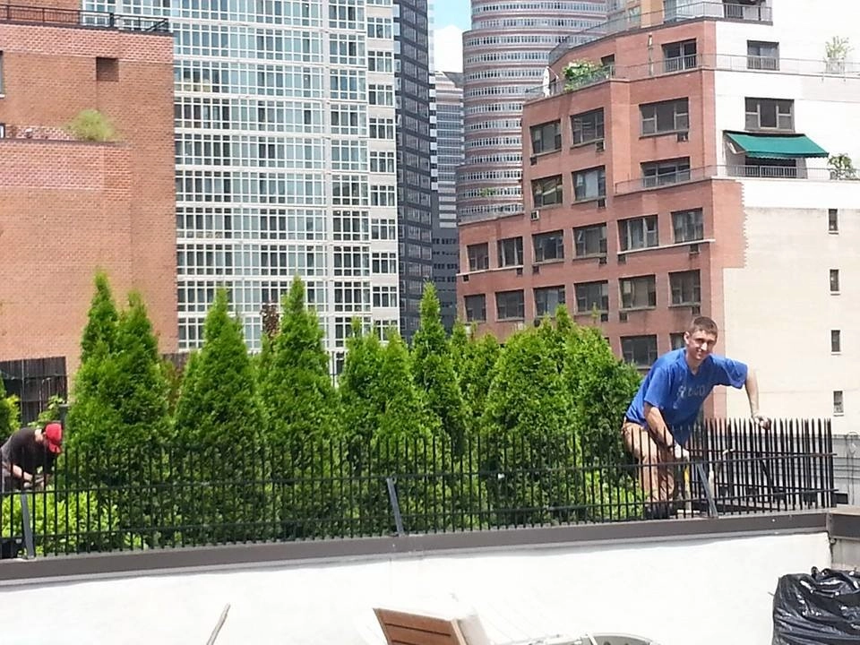 Landscape Designers NY by NY Plantings Irrigation And Landscape Lighting - Photo 5