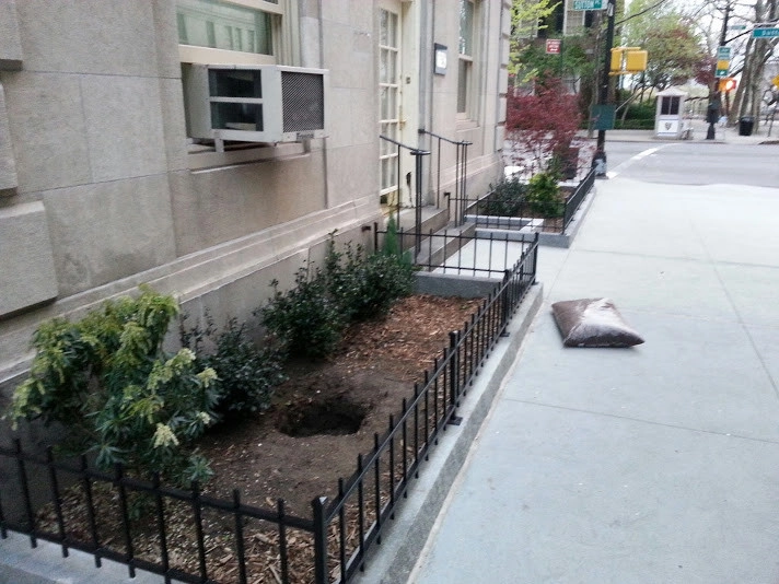 Landscape Designers NY by NY Plantings Irrigation And Landscape Lighting - Photo 10