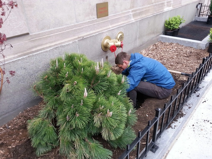 Landscape Designers NY by NY Plantings Irrigation And Landscape Lighting - Photo 13